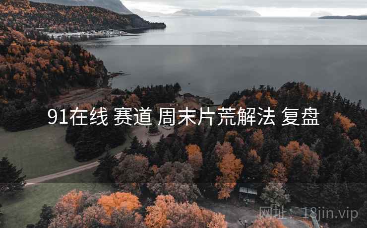 91在线 赛道 周末片荒解法 复盘  第2张