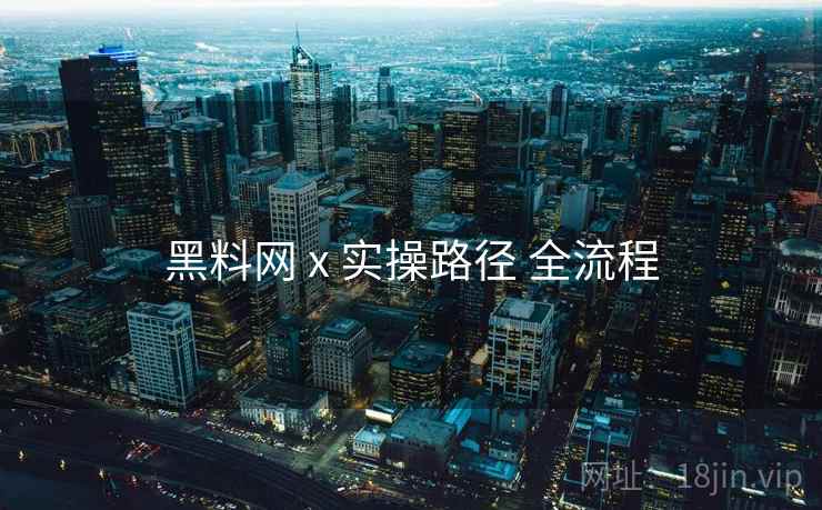 黑料网 x 实操路径 全流程  第2张