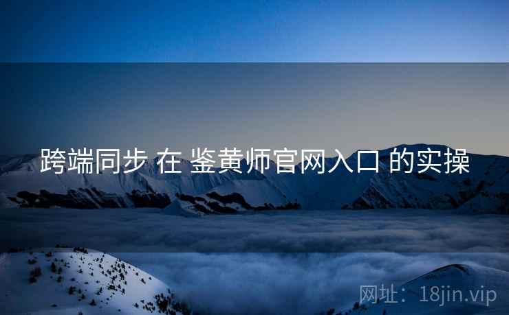 跨端同步 在 鉴黄师官网入口 的实操  第1张