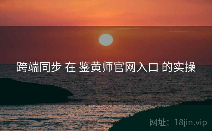 跨端同步 在 鉴黄师官网入口 的实操  第2张