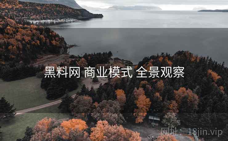 黑料网 商业模式 全景观察  第2张