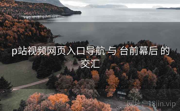 p站视频网页入口导航 与 台前幕后 的交汇  第1张