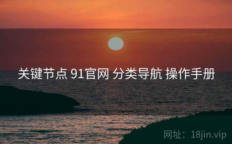 关键节点 91官网 分类导航 操作手册  第2张