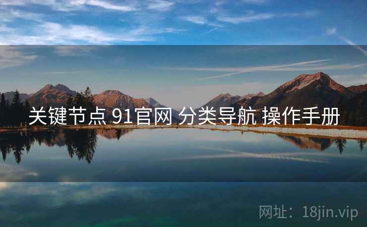 关键节点 91官网 分类导航 操作手册  第1张