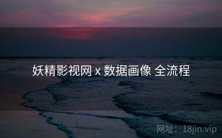 妖精影视网 x 数据画像 全流程  第1张