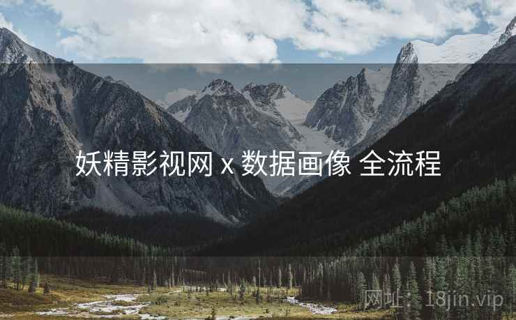 妖精影视网 x 数据画像 全流程  第2张