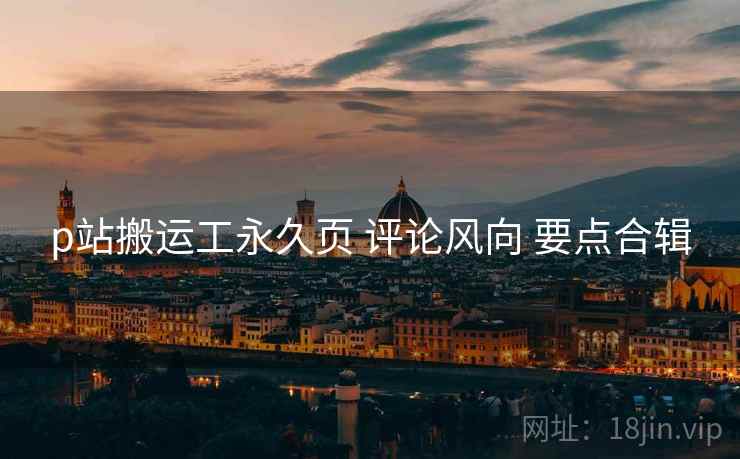 p站搬运工永久页 评论风向 要点合辑  第1张