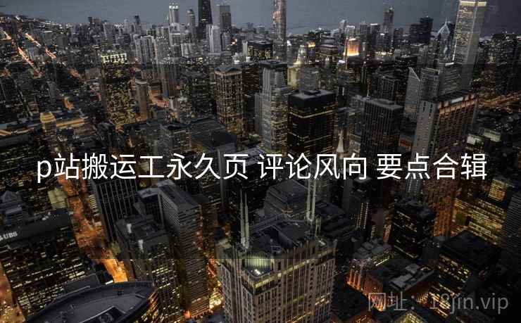 p站搬运工永久页 评论风向 要点合辑  第2张