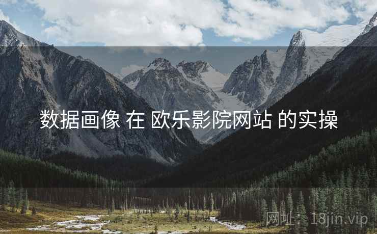 数据画像 在 欧乐影院网站 的实操  第2张
