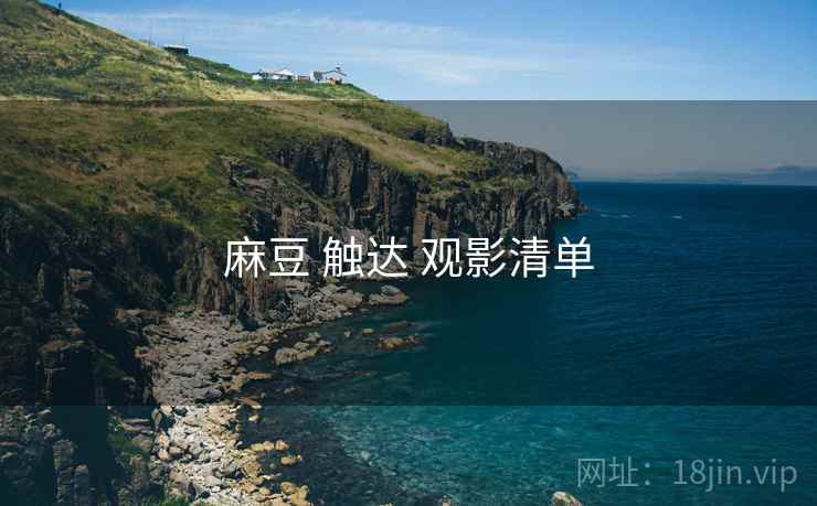 麻豆 触达 观影清单  第2张