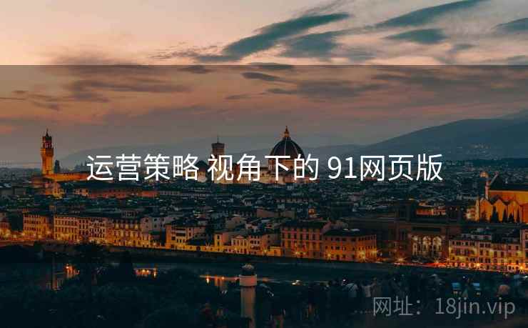 运营策略 视角下的 91网页版  第2张