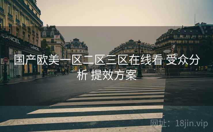 国产欧美一区二区三区在线看 受众分析 提效方案  第2张