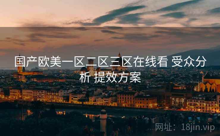 国产欧美一区二区三区在线看 受众分析 提效方案  第1张
