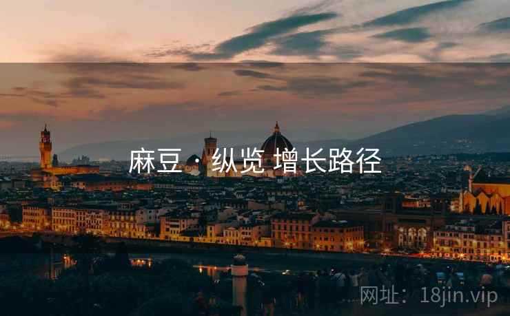 麻豆 · 纵览 增长路径  第2张