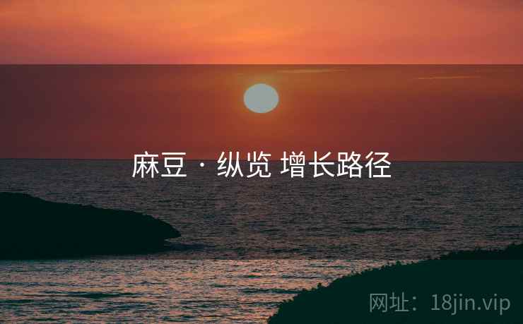 麻豆 · 纵览 增长路径  第1张