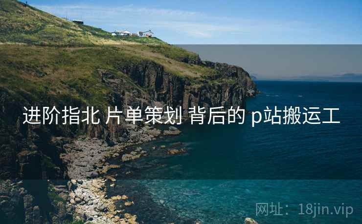 进阶指北 片单策划 背后的 p站搬运工  第2张