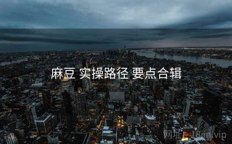 麻豆 实操路径 要点合辑  第1张