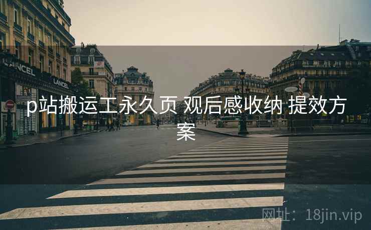 p站搬运工永久页 观后感收纳 提效方案  第2张