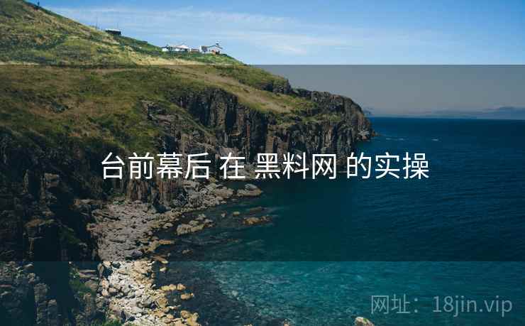 台前幕后 在 黑料网 的实操  第2张