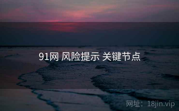91网 风险提示 关键节点  第2张
