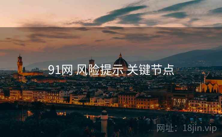 91网 风险提示 关键节点  第1张