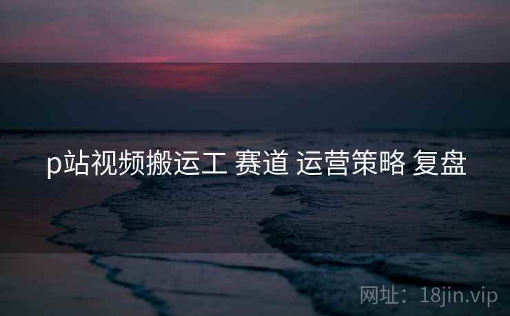 p站视频搬运工 赛道 运营策略 复盘  第2张