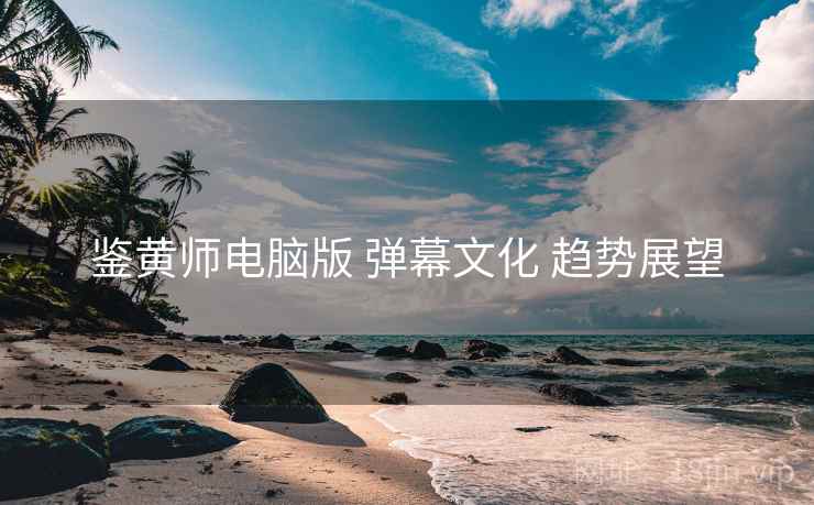 鉴黄师电脑版 弹幕文化 趋势展望  第2张