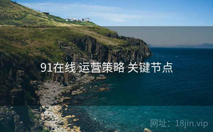 91在线 运营策略 关键节点  第2张