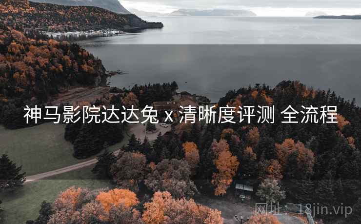 神马影院达达兔 x 清晰度评测 全流程  第2张