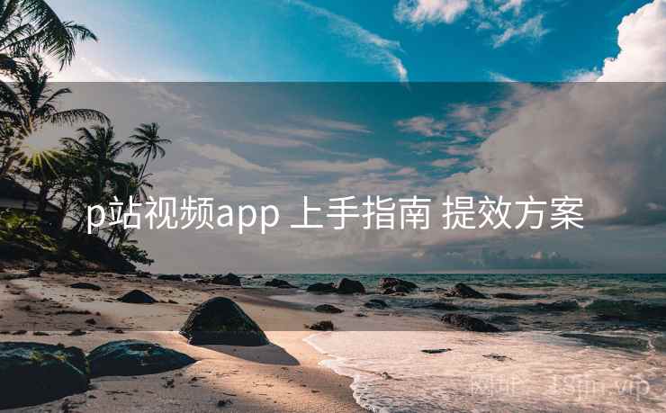 p站视频app 上手指南 提效方案  第1张
