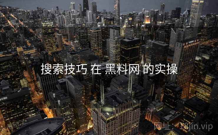 搜索技巧 在 黑料网 的实操  第2张