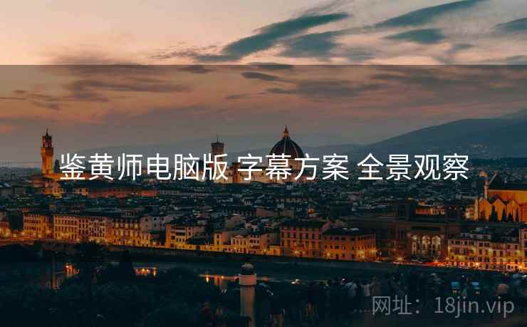 鉴黄师电脑版 字幕方案 全景观察  第2张
