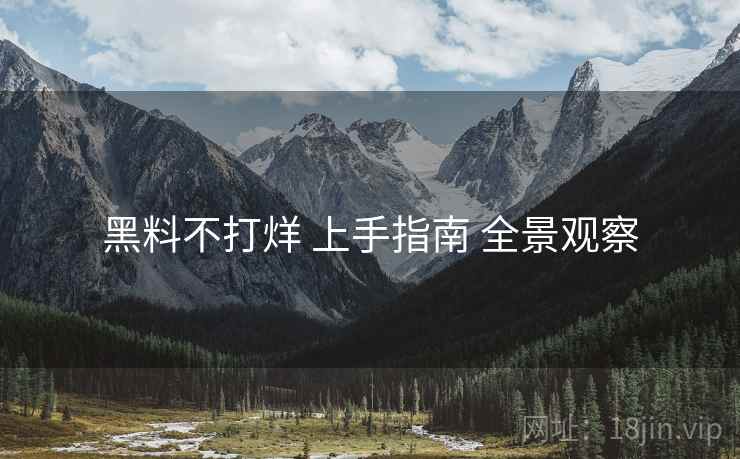 黑料不打烊 上手指南 全景观察  第2张