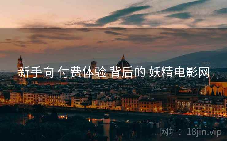 新手向 付费体验 背后的 妖精电影网  第2张
