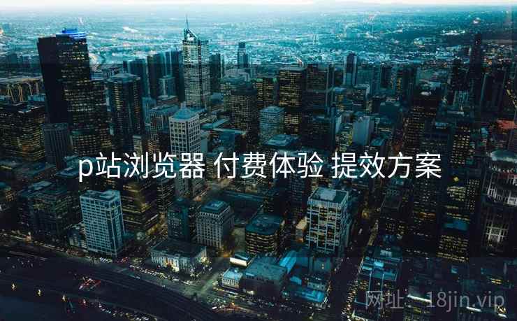 p站浏览器 付费体验 提效方案  第2张