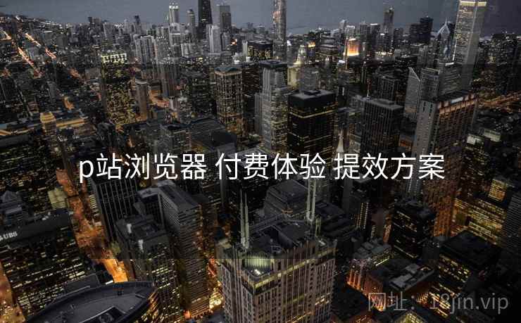 p站浏览器 付费体验 提效方案  第1张